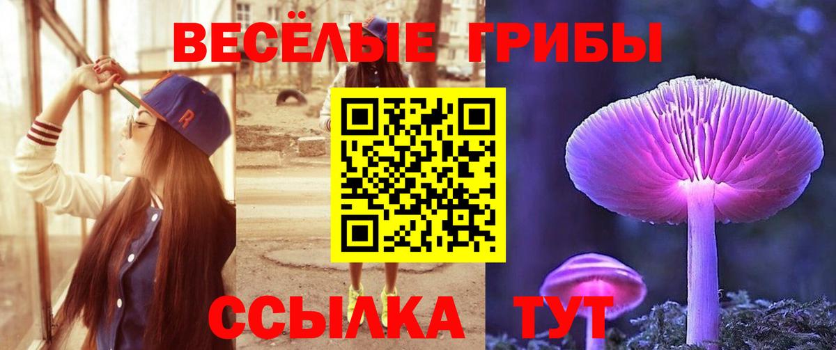 Галлюциногенные грибы Magic Shrooms Химки