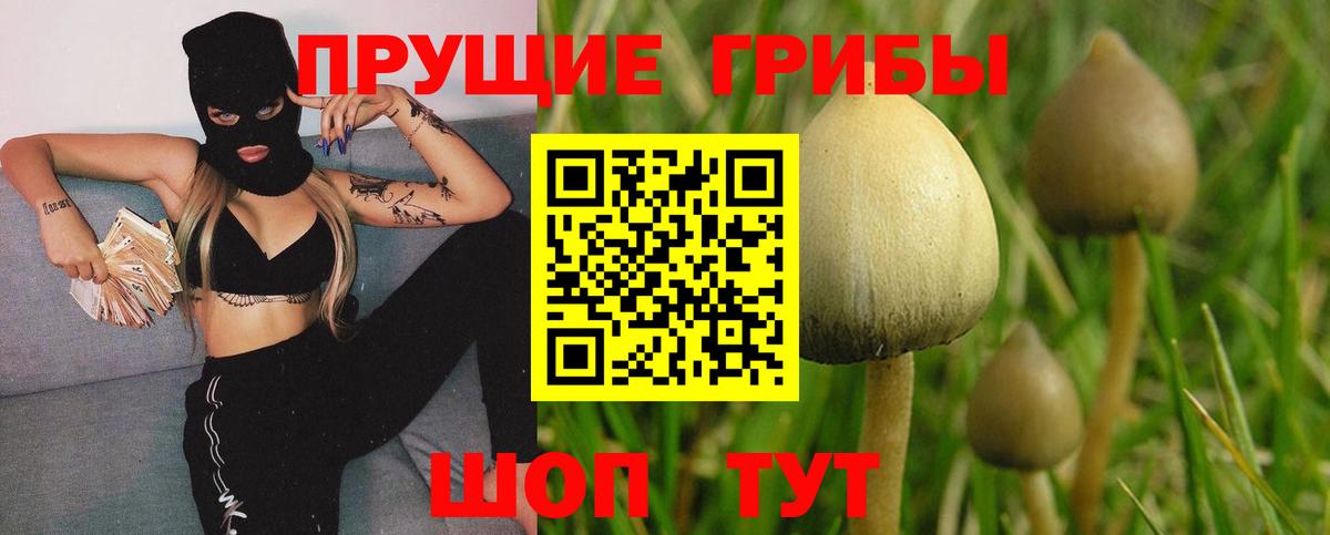 Галлюциногенные грибы Psilocybine cubensis  Вход с VPN  Химки 